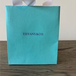 Tiffany & Co. Aqua Blue Shopping Bag with White Ribbon